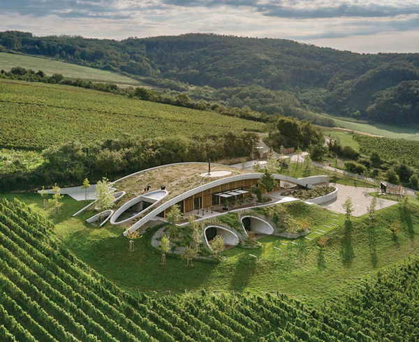 a winery in Czechia