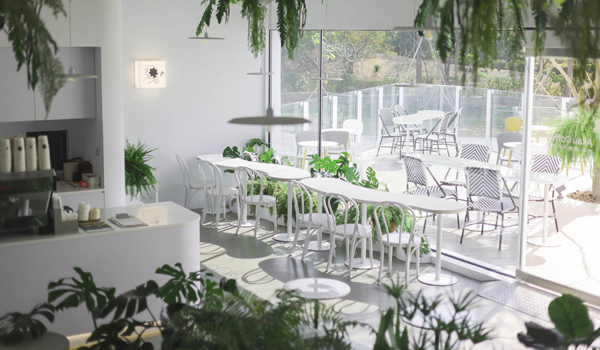 the interiors are all white with pops of green from plants
