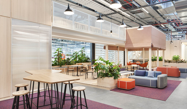 blue and orange Moroso sofas in an office collaborative space