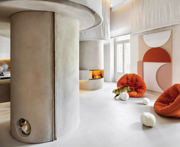 cats roaming a luxury apartment