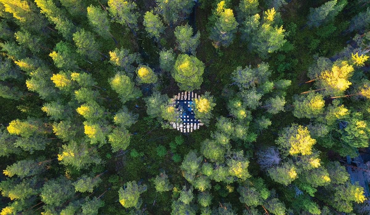 a hotel nestled among the trees