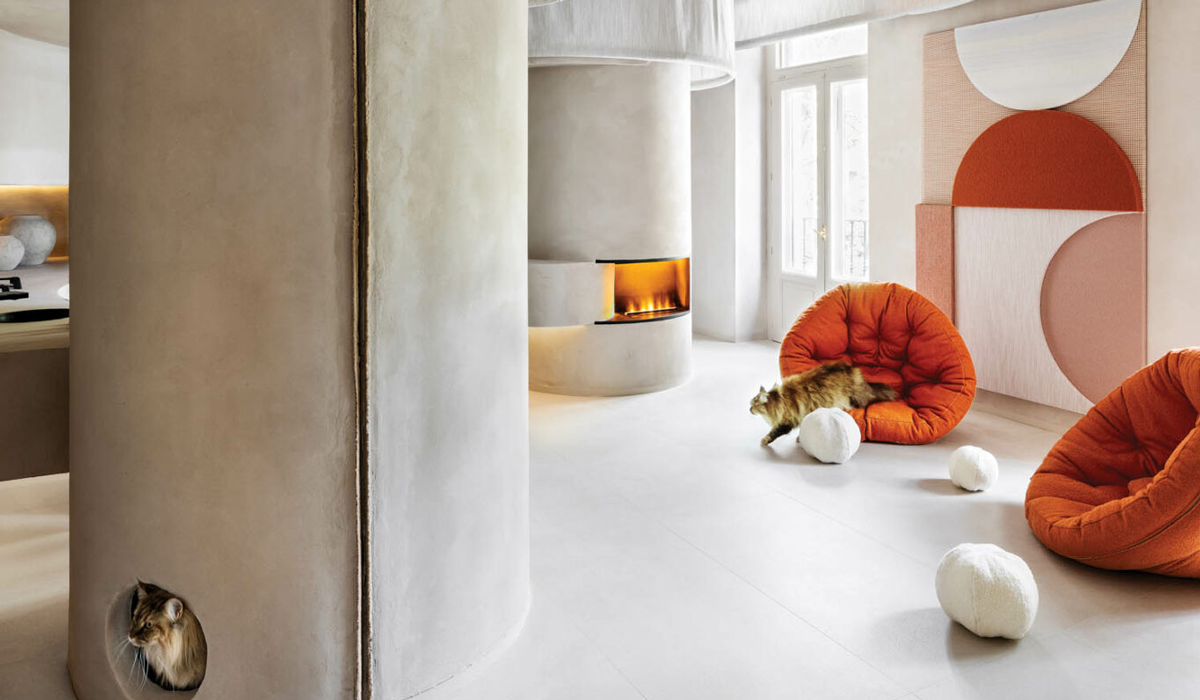 an apartment with cats wandering around it