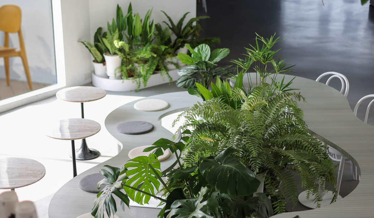 a greenery filled bench