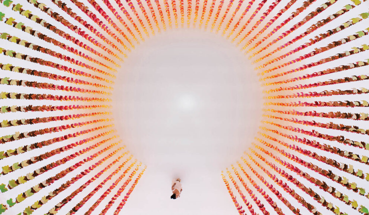 cascading rainbow butterflies all aligned in a circle