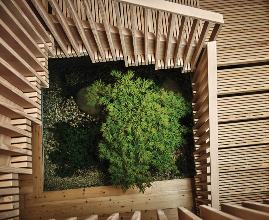 tree between staircase